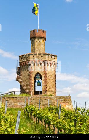 La tour du drapeau dans les vignobles près de Bad Dürkheim, Rhénanie-Palatinat, Allemagne Banque D'Images