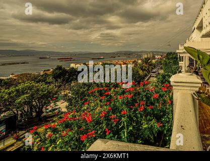 Vue du Rock Hotel sur les jardins botaniques à la mer, en arrière-plan le téléphérique de la réserve naturelle Upper Rock, Gibraltar, British C Banque D'Images