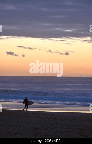 Surfeurs sur l'océan Atlantique, coucher de soleil à Praia do Guincho près de Cascais, Portugal Banque D'Images