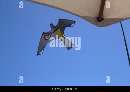 Hawk Scarer Kite utilisé comme un moyen de dissuasion pour les oiseaux volant au-dessus de Parasol au Chedi Hotel Muscat Oman Banque D'Images