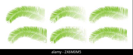 Ensemble de feuilles de palmier vertes. dessin à la main. Pas IA. Illustration vectorielle Illustration de Vecteur