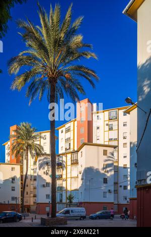 Les logements publics des années 1950 se trouvent dans El Tardón de Triana, un témoignage de l’histoire urbaine de Séville. Banque D'Images
