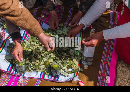 Rituel traditionnel de paiement à la terre avec des feuilles de coca et chicha de jora dans les Andes de la chaîne de montagnes par une journée ensoleillée Banque D'Images