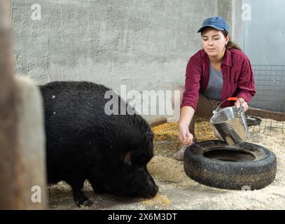 Agricultrice nourrissant le porc ibérique noir dans les enclos à la ferme d'élevage Banque D'Images