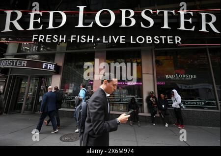 New York, États-Unis. 15 mai 2024. Un homme regarde son téléphone portable alors qu'il passe devant un restaurant Red Lobster à Times Square, New York, NY, le 15 mai 2024. Red Lobster a décidé de fermer 99 de ses restaurants de fruits de mer dans 27 états à travers l'Amérique alors qu'il envisage de déposer pour le Chapitre 11. (Photo par Anthony Behar/Sipa USA) crédit : Sipa USA/Alamy Live News Banque D'Images