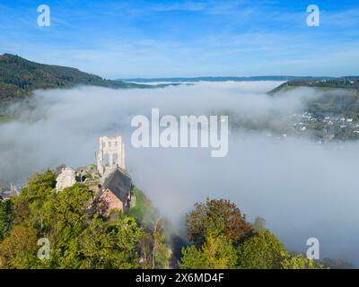 Vue aérienne des ruines de Grevenburg près de Traben-Trarbach dans la brume matinale, Moselle, vallée de la Moselle, Hunsrück, Rhénanie-Palatinat, Allemagne Banque D'Images