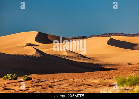 Maroc, désert du Sahara, dunes Banque D'Images