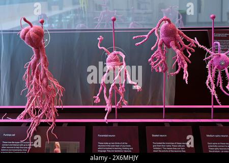 Neurones tricotés de Neural Knitworks, Hello Brain!, exposition, Manby Gallery, Francis Crick Institute, Londres, Angleterre, U. K Banque D'Images