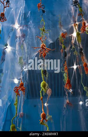 Neurones tricotés, Hello Brain!, exposition, Galerie Manby, Institut Francis Crick, Londres, Angleterre, U. K Banque D'Images