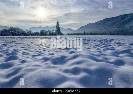 Prairies enneigées dans le Murnauer Moos, Murnau, haute-Bavière, Bavière, Allemagne Banque D'Images