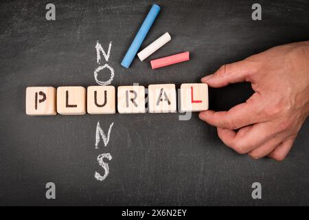 Noms pluriels. Puzzle de mots croisés en bloc en bois et morceaux de craie sur un fond de tableau noir. Banque D'Images