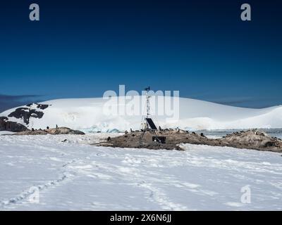 Station météorologique et manchots gentous (Pygoscelis papua) sur L’île D’Hainaut, le port de Mikkelsen, l’île de Trinity, l’archipel de Palmer, l’Antarctique Banque D'Images