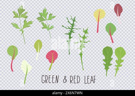 Mélange de feuilles de salade. Ensemble de dessins animés de feuilles crues rouges vertes isolées sur transparent. Icône de collection de salade de feuilles. Ingrédients vitaminés organiques pour cuisiner Illustration de Vecteur