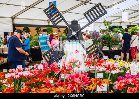 Exposition de tulipes colorées en fleurs et d'un moulin à vent au Floral Marquee, RHS Malvern Spring Festival au Three Counties Showground, Malvern Banque D'Images