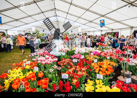 Exposition de tulipes colorées en fleurs et d'un moulin à vent au Floral Marquee, RHS Malvern Spring Festival au Three Counties Showground, Malvern Banque D'Images