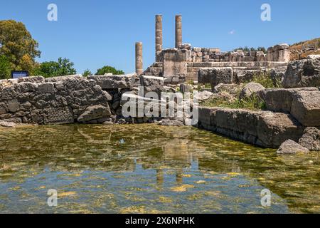 Enceinte de Zeus, la déesse Leto donne naissance à ses enfants jumeaux Artémis et Apollon à Délos, puis vient à l'endroit où la rivière Xanthos atteint t Banque D'Images