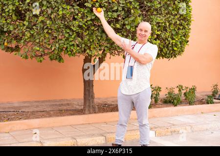 Touriste masculin au Maroc à côté de l'oranger dans le jardin public, tenant l'orange fraîchement cueillie, immersion culturelle, patrimoine agricole, plaisir simple Banque D'Images