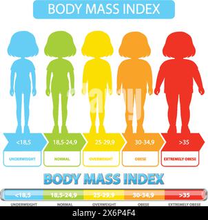 Représentation visuelle des catégories et plages de l'IMC Illustration de Vecteur