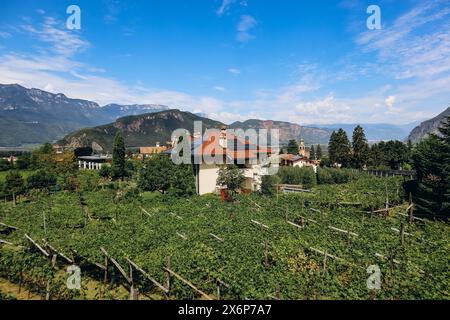 Sentier Pinot Noir - le sentier viticole et culturel est situé dans la célèbre région du Pinot Noir, en bordure du parc naturel du Monte Corno Banque D'Images
