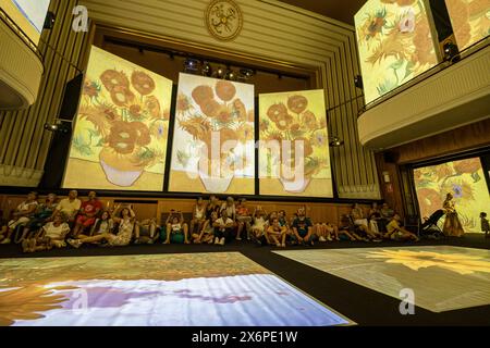 Exposition multimédia Van Gogh Alive, Ateneo Mercantil de Valencia, Valence, Communauté valencienne, Espagne, Europe. Banque D'Images