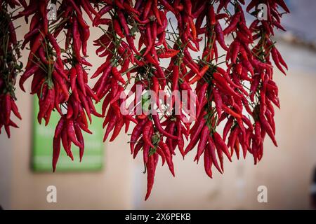 Poivrons sirereta typiques, marché hebdomadaire, Sineu, Majorque, Iles Baléares, Espagne. Banque D'Images