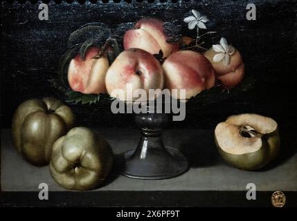 Fede Galizia, bol de fruits en verre avec pêches, coing et jasmin, XVIIe siècle, huile sur toile, Pinacothèque Ala Ponzone-museo Civico, Crémone. Banque D'Images