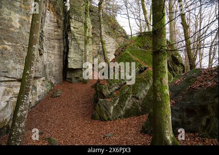 Devil gorge à l'Eifel, Teufelsschlucht avec rochers puissants et canyon, sentier de randonnée en Allemagne, formation rocheuse de grès, automne Banque D'Images