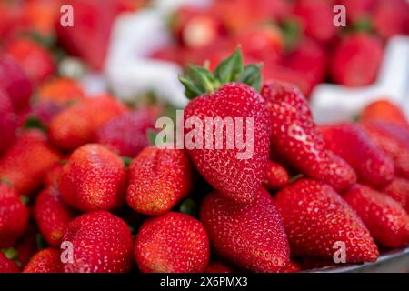 Vue rapprochée pour les fraises empilées avec une belle couleur rouge Banque D'Images