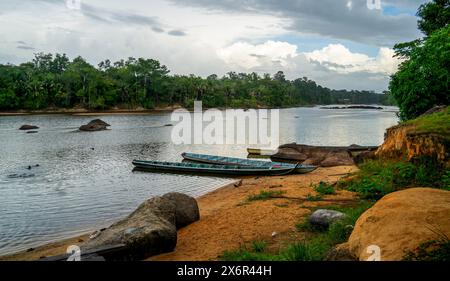 Scène sur la rive du Suriname Banque D'Images