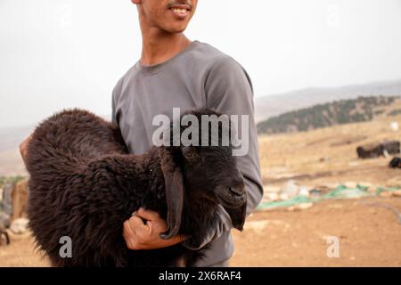 Jeune adolescent arabe tenant de petits moutons se sentant heureux et remerciant Dieu pour ses dons dans le désert Banque D'Images