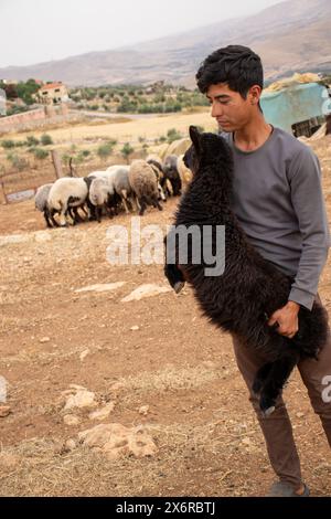 Jeune adolescent arabe tenant de petits moutons se sentant heureux et remerciant Dieu pour ses dons dans le désert Banque D'Images