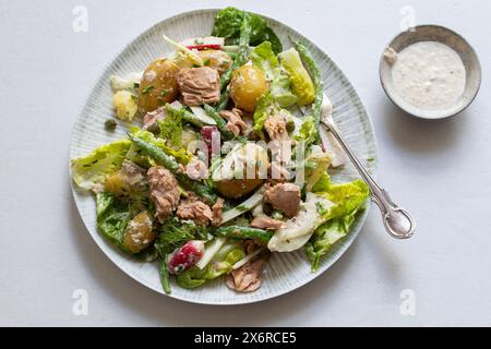 Salade de thon avec pommes de terre, laitue, haricots verts et radis Banque D'Images