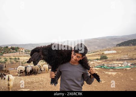 Jeune adolescent arabe tenant de petits moutons se sentant heureux et remerciant Dieu pour ses dons dans le désert Banque D'Images