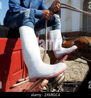 Le conducteur du cheval et du buggy porte des bottes blanches. Banque D'Images