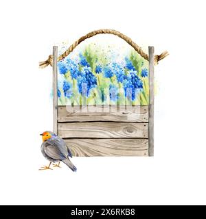 Aquarelle bleu-violet fleurs jacinthes dans une boîte en bois et oiseau mignon, illustration du style provençal, croquis dessiné à la main de fleurs de printemps bleues, tige A. Banque D'Images