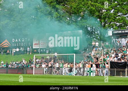 Deinze, Belgique. 12 mai 2024. Les fans et supporters de Lommel photographiés lors d'un match de football entre KMSK Deinze et SK Lommel dans la promotion play offs finales - deuxième manche de la saison Challenger Pro League 2023-2024, le lundi 12 mai 2024 à Deinze, Belgique . Crédit : Sportpix/Alamy Live News Banque D'Images