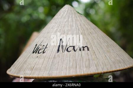 Femme vietnamienne méconnaissable portant un chapeau conique traditionnel en bambou. Concept de voyage Banque D'Images