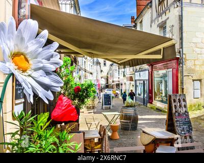 Fleurs artificielles à l'extérieur magasin sur rue étroite - Loches, Indre-et-Loire (37), France. Banque D'Images