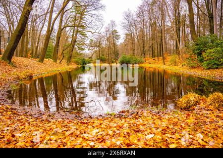 Un lac serein au Rhododendron Park reflète le feuillage d'automne qui l'entoure par une journée calme. Kromlau, Allemagne Banque D'Images