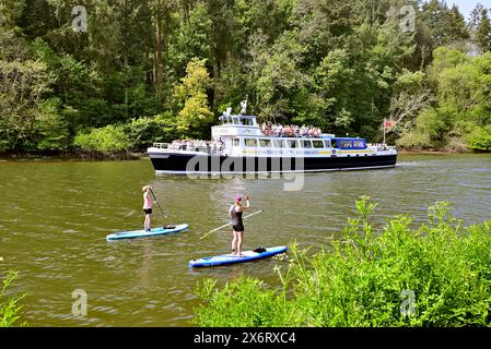 Stand up paddleboarders sur la rivière Dart à Totnes, dans le sud du Devon alors que Dartmouth Riverboats Cardiff Castle part pour Dartmouth. Banque D'Images