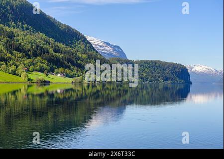 Un lac norvégien tranquille reflète les forêts verdoyantes et les sommets enneigés lointains sous un ciel bleu clair, créant une scène magnifique et paisible. Banque D'Images