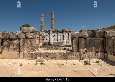 Enceinte de Zeus, la déesse Leto donne naissance à ses enfants jumeaux Artémis et Apollon à Délos, puis vient à l'endroit où la rivière Xanthos atteint t Banque D'Images