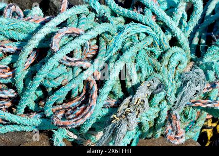 Gros plan d'un enchevêtrement de cordes en plastique ou en nylon utilisées dans l'industrie de la pêche échouées sur les rochers à Arbroath, en Écosse. Concept de pollution plastique. Banque D'Images