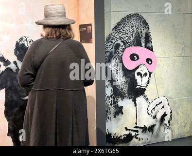 New York, New York, États-Unis. 15 mai 2024. Gorilla in a Pink Mask' Saeed Ahmed's New Muslim Cultural Centre, 2002, Bristol, UK, vu lors de l'ouverture du nouveau Banksy Museum situé au 277 canal Street dans le Lower Manhattan. Plus de 160 œuvres de Banksy ont été recréées par 10 artistes anonymes, car toutes les œuvres sauf une n'existent plus. (Crédit image : © Nancy Kaszerman/ZUMA Press Wire) USAGE ÉDITORIAL SEULEMENT! Non destiné à UN USAGE commercial ! Banque D'Images