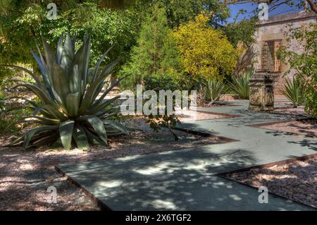 Oaxaca, Mexique, Amérique du Nord. Jardin ethnobotanique (jardin Etnobotánico). Banque D'Images