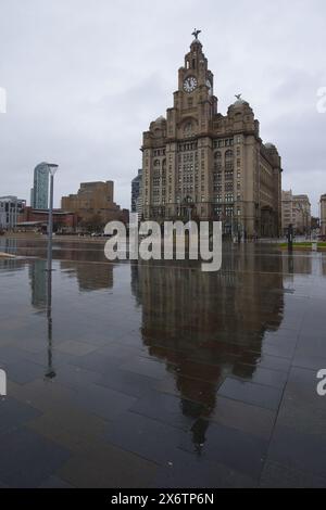 Angleterre, Liverpool - 30 décembre 2023 : le Royal Liver Building se reflétait dans la pluie. Banque D'Images