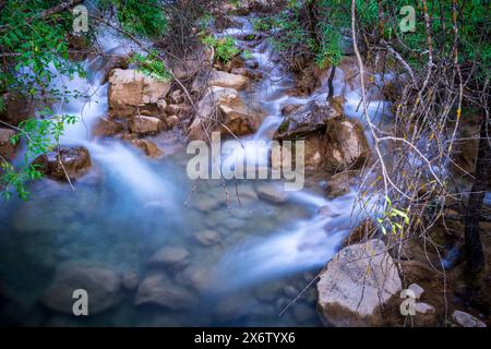 Rivière Guadalquivir jeune, Cerrada de Utrero, Parc naturel des Sierras de Cazorla, Segura et Las Villas, province de Jaén, Andalousie, Espagne. Banque D'Images