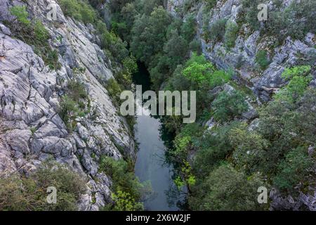 Rivière Guadalquivir jeune, Cerrada de Utrero, Parc naturel des Sierras de Cazorla, Segura et Las Villas, province de Jaén, Andalousie, Espagne. Banque D'Images