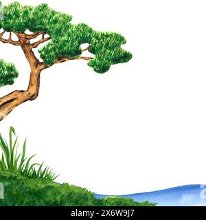 Arbre de bonsaï de pin sur herbe verte pour le jardin japonais. Illustration aquarelle avec espace de copie. Élément gazonné d'été pour le design, la nature Banque D'Images