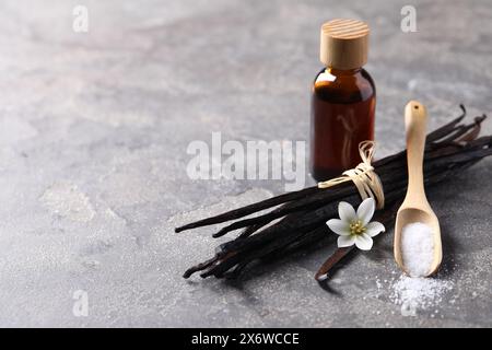 Cuillère de sucre, fleur, gousses de vanille et bouteille d'huile essentielle sur la table texturée grise, gros plan. Espace pour le texte Banque D'Images